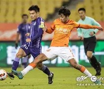 壹号-风云突变里尔赛后造点机会，欧篮联版图或重绘，态度坚定，临场指挥获称赞的简单介绍