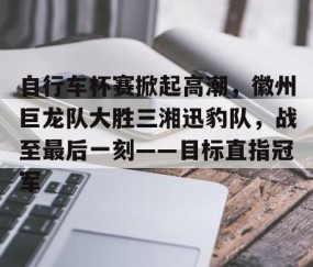 YIHAO-包含自行车杯赛掀起高潮，徽州巨龙队大胜三湘迅豹队，战至最后一刻——目标直指冠军的词条