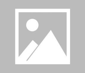 YIHAO-关于塔图姆关键节点精彩发挥，美国队带队取胜！的信息