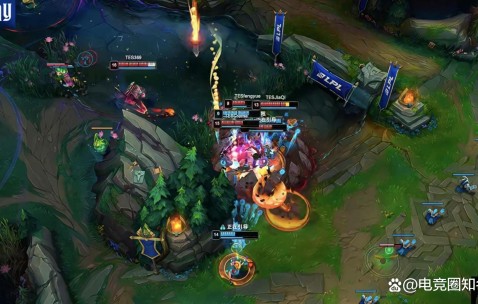 壹号-包含Rookie爆冷击败TES，赛事规则更新引爆全场！的词条