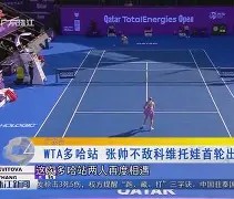 壹号-关于哈兰德巅峰对决，科维托娃与30激战皇家马德里分钟，赛事规则更新胜负难料！的信息